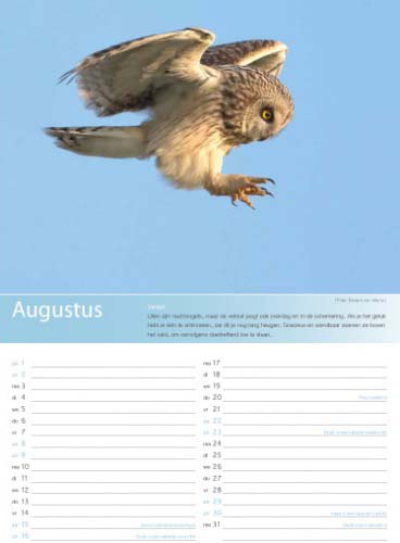 Birdpix kalender 2015 augustus
